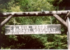 Muir Woods